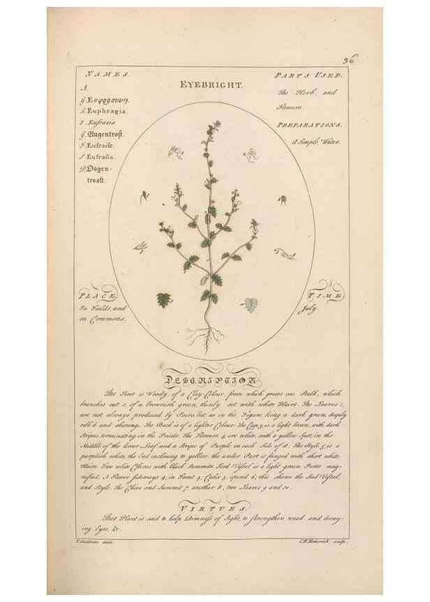 Reproducción/Reproduction 49787530618: Botanicum medicinale :. London :Printed for J. Millan, opposite the Admiralty, Whitehall,[1768?]. 