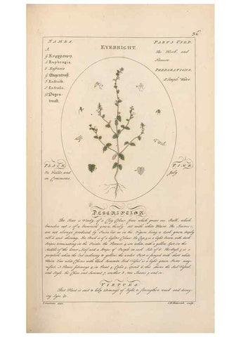 Reproducción/Reproduction 49787530618: Botanicum medicinale :. London :Printed for J. Millan, opposite the Admiralty, Whitehall,[1768?]. 