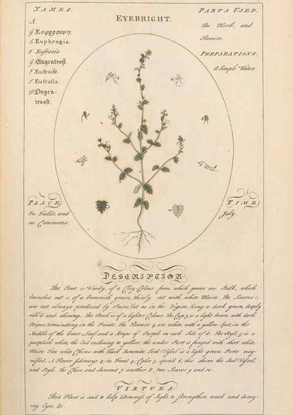 Reproducción/Reproduction 49787530618: Botanicum medicinale :. London :Printed for J. Millan, opposite the Admiralty, Whitehall,[1768?]. 