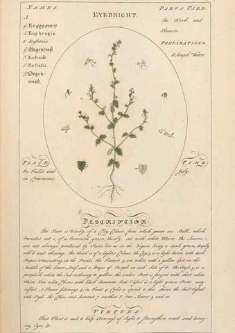 Reproducción/Reproduction 49787530618: Botanicum medicinale :. London :Printed for J. Millan, opposite the Admiralty, Whitehall,[1768?]. 