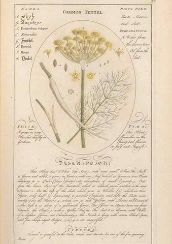 Reproducción/Reproduction 49788391662: Botanicum medicinale :. London :Printed for J. Millan, opposite the Admiralty, Whitehall,[1768?]. 