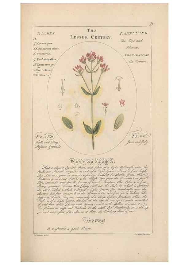 Reproducción/Reproduction 49788067761: Botanicum medicinale :. London :Printed for J. Millan, opposite the Admiralty, Whitehall,[1768?]. 