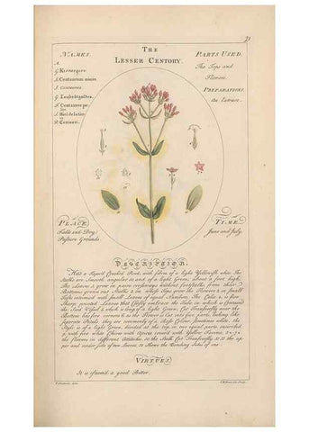 Reproducción/Reproduction 49788067761: Botanicum medicinale :. London :Printed for J. Millan, opposite the Admiralty, Whitehall,[1768?]. 