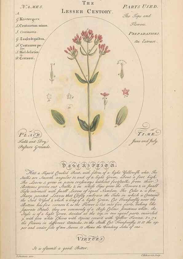 Reproducción/Reproduction 49788067761: Botanicum medicinale :. London :Printed for J. Millan, opposite the Admiralty, Whitehall,[1768?]. 