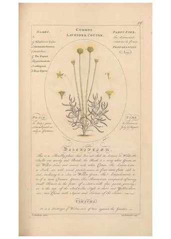 Reproducción/Reproduction 49788075541: Botanicum medicinale :. London :Printed for J. Millan, opposite the Admiralty, Whitehall,[1768?]. 