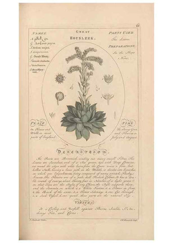 Reproducción/Reproduction 49787535348: Botanicum medicinale :. London :Printed for J. Millan, opposite the Admiralty, Whitehall,[1768?]. 
