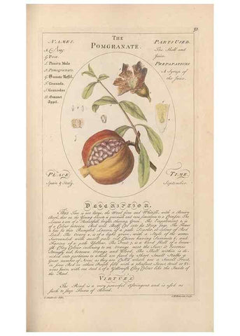 Reproducción/Reproduction 49787539218: Botanicum medicinale :. London :Printed for J. Millan, opposite the Admiralty, Whitehall,[1768?]. 