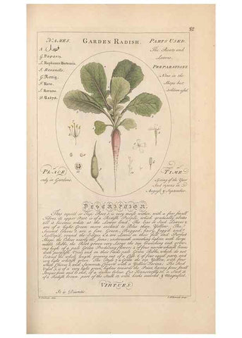 Reproducción/Reproduction 49787539593: Botanicum medicinale :. London :Printed for J. Millan, opposite the Admiralty, Whitehall,[1768?]. 