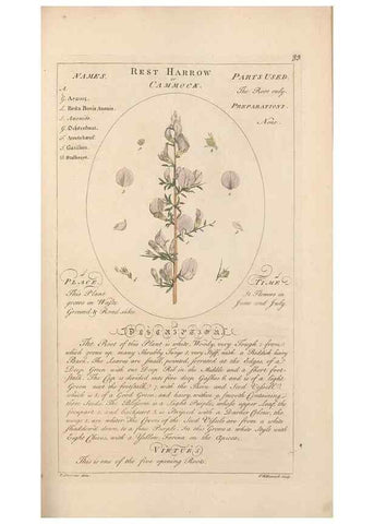 Reproducción/Reproduction 49787539818: Botanicum medicinale :. London :Printed for J. Millan, opposite the Admiralty, Whitehall,[1768?]. 