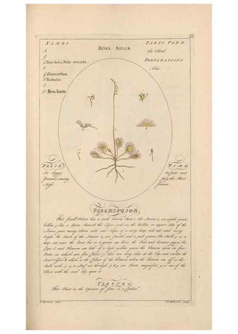 Reproducción/Reproduction 49787540013: Botanicum medicinale :. London :Printed for J. Millan, opposite the Admiralty, Whitehall,[1768?]. 
