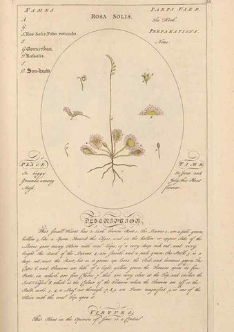 Reproducción/Reproduction 49787540013: Botanicum medicinale :. London :Printed for J. Millan, opposite the Admiralty, Whitehall,[1768?]. 