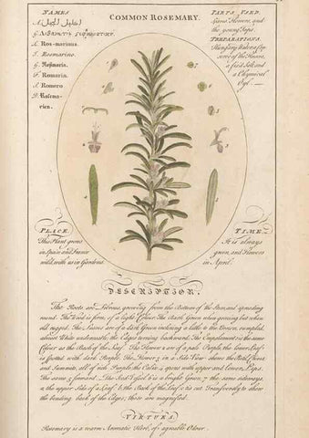 Reproducción/Reproduction 49788401592: Botanicum medicinale :. London :Printed for J. Millan, opposite the Admiralty, Whitehall,[1768?]. 