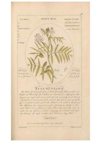 Reproducción/Reproduction 49788081896: Botanicum medicinale :. London :Printed for J. Millan, opposite the Admiralty, Whitehall,[1768?]. 