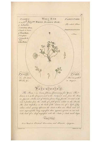 Reproducción/Reproduction 49788402167: Botanicum medicinale :. London :Printed for J. Millan, opposite the Admiralty, Whitehall,[1768?]. 