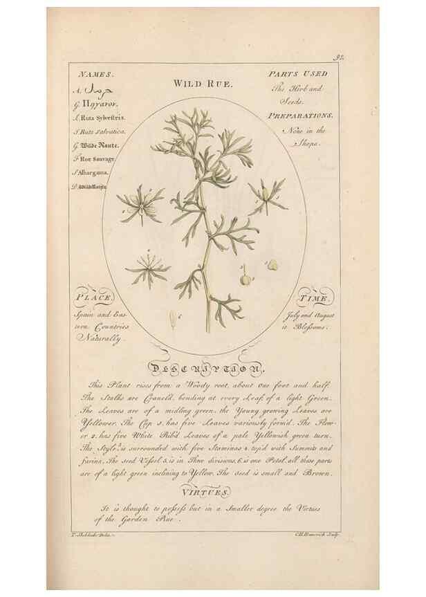 Reproducción/Reproduction 49787541683: Botanicum medicinale :. London :Printed for J. Millan, opposite the Admiralty, Whitehall,[1768?]. 