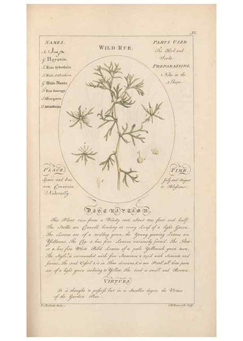 Reproducción/Reproduction 49787541683: Botanicum medicinale :. London :Printed for J. Millan, opposite the Admiralty, Whitehall,[1768?]. 
