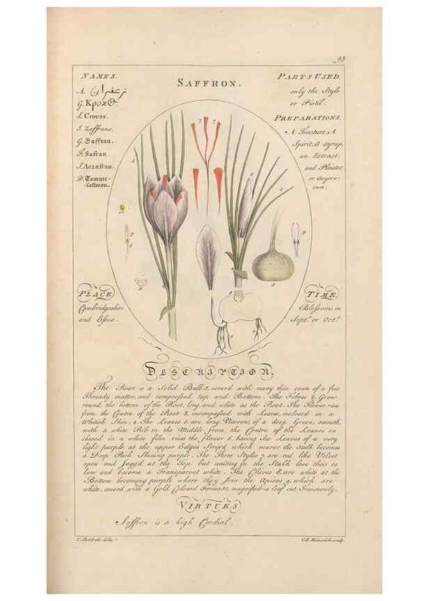 Reproducción/Reproduction 49788082456: Botanicum medicinale :. London :Printed for J. Millan, opposite the Admiralty, Whitehall,[1768?]. 