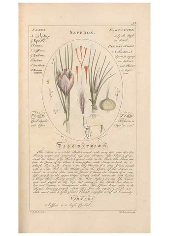 Reproducción/Reproduction 49788082456: Botanicum medicinale :. London :Printed for J. Millan, opposite the Admiralty, Whitehall,[1768?]. 