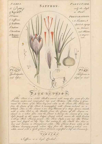 Reproducción/Reproduction 49788082456: Botanicum medicinale :. London :Printed for J. Millan, opposite the Admiralty, Whitehall,[1768?]. 