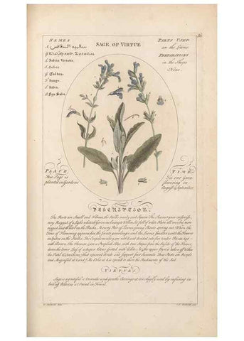 Reproducción/Reproduction 49787542008: Botanicum medicinale :. London :Printed for J. Millan, opposite the Admiralty, Whitehall,[1768?]. 
