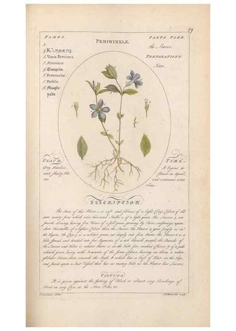 Reproducción/Reproduction 49788399712: Botanicum medicinale :. London :Printed for J. Millan, opposite the Admiralty, Whitehall,[1768?]. 