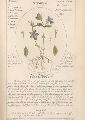 Reproducción/Reproduction 49788399712: Botanicum medicinale :. London :Printed for J. Millan, opposite the Admiralty, Whitehall,[1768?]. 