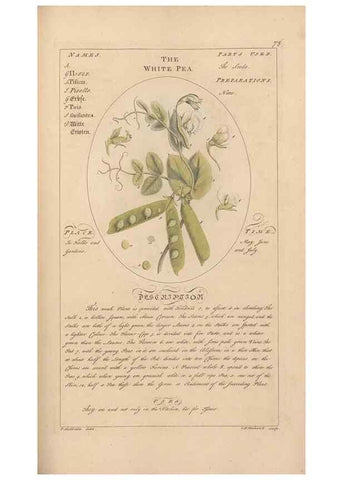 Reproducción/Reproduction 49787538878: Botanicum medicinale :. London :Printed for J. Millan, opposite the Admiralty, Whitehall,[1768?]. 