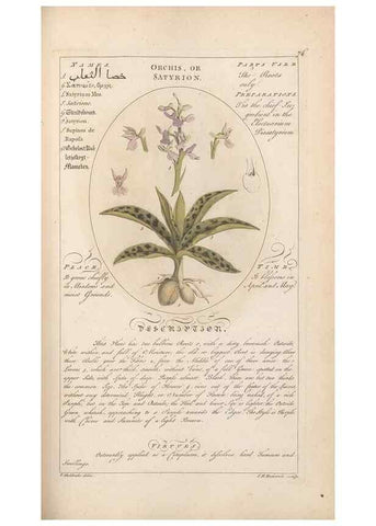Reproducción/Reproduction 49788079131: Botanicum medicinale :. London :Printed for J. Millan, opposite the Admiralty, Whitehall,[1768?]. 
