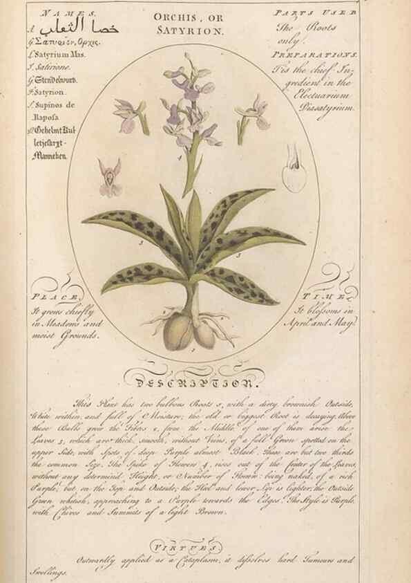 Reproducción/Reproduction 49788079131: Botanicum medicinale :. London :Printed for J. Millan, opposite the Admiralty, Whitehall,[1768?]. 