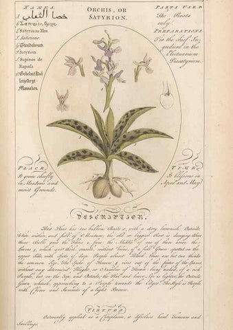Reproducción/Reproduction 49788079131: Botanicum medicinale :. London :Printed for J. Millan, opposite the Admiralty, Whitehall,[1768?]. 