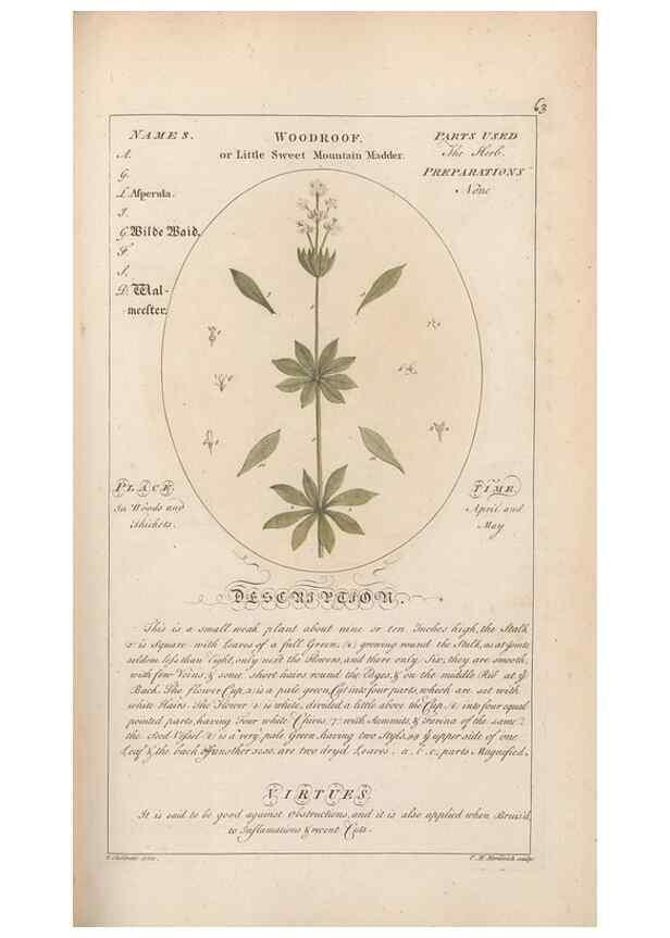 Reproducción/Reproduction 49788076451: Botanicum medicinale :. London :Printed for J. Millan, opposite the Admiralty, Whitehall,[1768?]. 