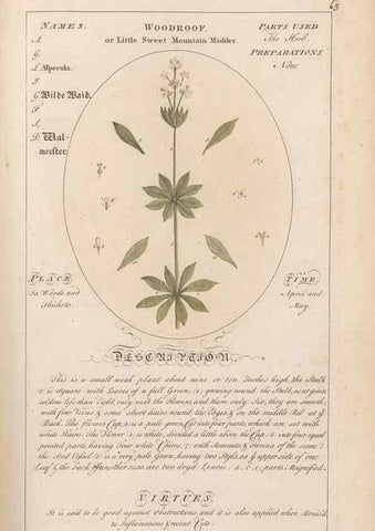Reproducción/Reproduction 49788076451: Botanicum medicinale :. London :Printed for J. Millan, opposite the Admiralty, Whitehall,[1768?]. 