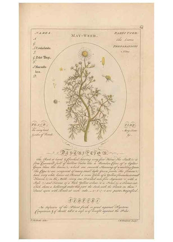 Reproducción/Reproduction 49788397077: Botanicum medicinale :. London :Printed for J. Millan, opposite the Admiralty, Whitehall,[1768?]. 