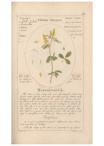 Reproducción/Reproduction 49788397237: Botanicum medicinale :. London :Printed for J. Millan, opposite the Admiralty, Whitehall,[1768?]. 