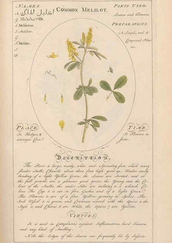 Reproducción/Reproduction 49788397237: Botanicum medicinale :. London :Printed for J. Millan, opposite the Admiralty, Whitehall,[1768?]. 