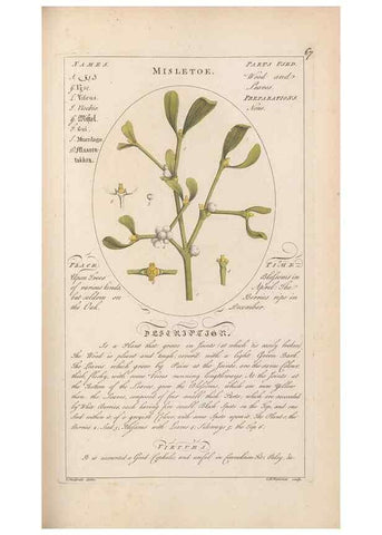 Reproducción/Reproduction 49788397657: Botanicum medicinale :. London :Printed for J. Millan, opposite the Admiralty, Whitehall,[1768?]. 