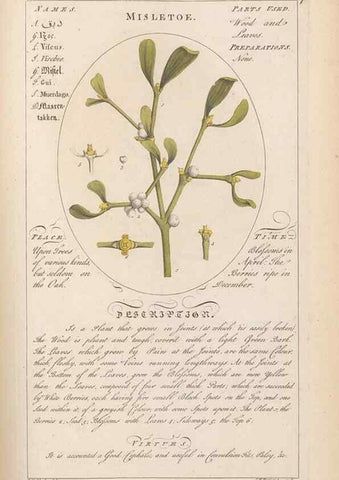 Reproducción/Reproduction 49788397657: Botanicum medicinale :. London :Printed for J. Millan, opposite the Admiralty, Whitehall,[1768?]. 
