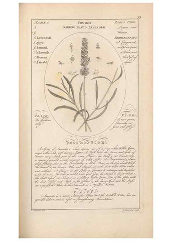 Reproducción/Reproduction 49788075661: Botanicum medicinale :. London :Printed for J. Millan, opposite the Admiralty, Whitehall,[1768?]. 