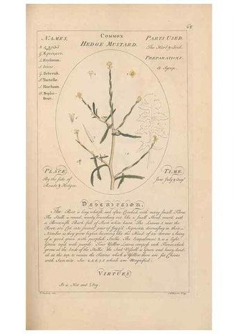 Reproducción/Reproduction 49787536848: Botanicum medicinale :. London :Printed for J. Millan, opposite the Admiralty, Whitehall,[1768?]. 