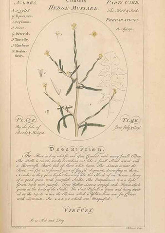 Reproducción/Reproduction 49787536848: Botanicum medicinale :. London :Printed for J. Millan, opposite the Admiralty, Whitehall,[1768?]. 
