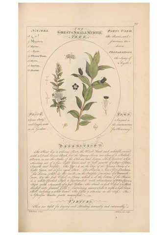 Reproducción/Reproduction 49788077766: Botanicum medicinale :. London :Printed for J. Millan, opposite the Admiralty, Whitehall,[1768?]. 