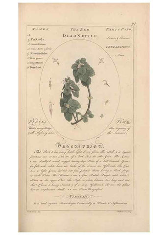 Reproducción/Reproduction 49787537363: Botanicum medicinale :. London :Printed for J. Millan, opposite the Admiralty, Whitehall,[1768?]. 