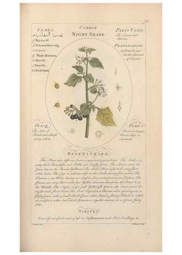 Reproducción/Reproduction 49788078186: Botanicum medicinale :. London :Printed for J. Millan, opposite the Admiralty, Whitehall,[1768?]. 