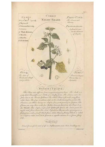 Reproducción/Reproduction 49788078186: Botanicum medicinale :. London :Printed for J. Millan, opposite the Admiralty, Whitehall,[1768?]. 