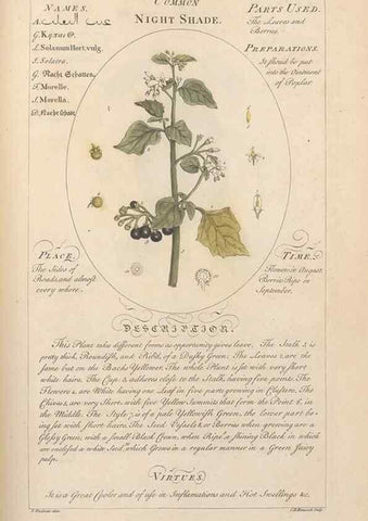 Reproducción/Reproduction 49788078186: Botanicum medicinale :. London :Printed for J. Millan, opposite the Admiralty, Whitehall,[1768?]. 