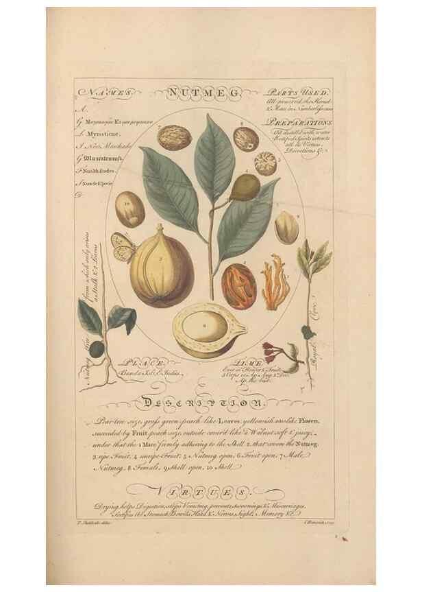 Reproducción/Reproduction 49788078631: Botanicum medicinale :. London :Printed for J. Millan, opposite the Admiralty, Whitehall,[1768?]. 