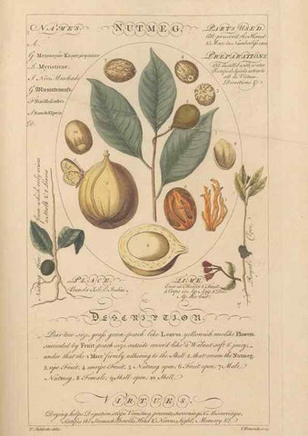 Reproducción/Reproduction 49788078631: Botanicum medicinale :. London :Printed for J. Millan, opposite the Admiralty, Whitehall,[1768?]. 