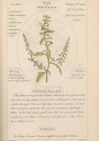 Reproducción/Reproduction 49788078781: Botanicum medicinale :. London :Printed for J. Millan, opposite the Admiralty, Whitehall,[1768?]. 