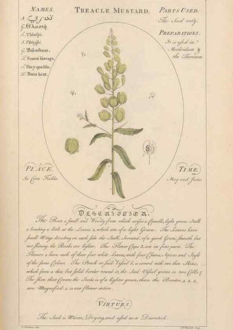 Reproducción/Reproduction 49788397902: Botanicum medicinale :. London :Printed for J. Millan, opposite the Admiralty, Whitehall,[1768?]. 