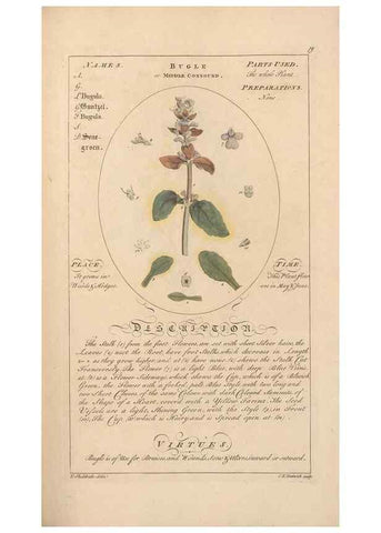 Reproducción/Reproduction 49788387647: Botanicum medicinale :. London :Printed for J. Millan, opposite the Admiralty, Whitehall,[1768?]. 